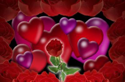 la rose