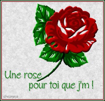 aimer