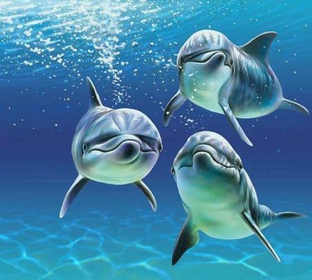 fonds des oceans
